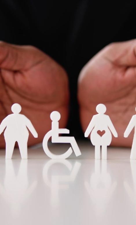 Impulsando la Inclusión Laboral 2